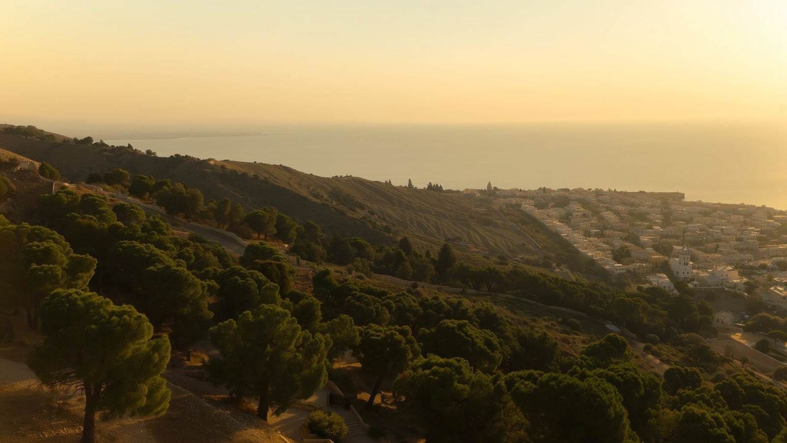 Carmel mountain slopes and Mediterranean forest