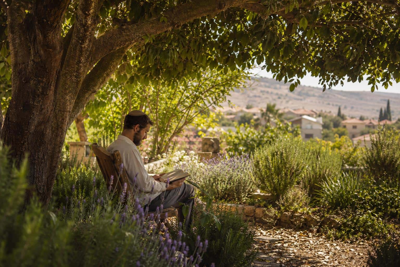 Weekend outdoor activities in Maale Efraim