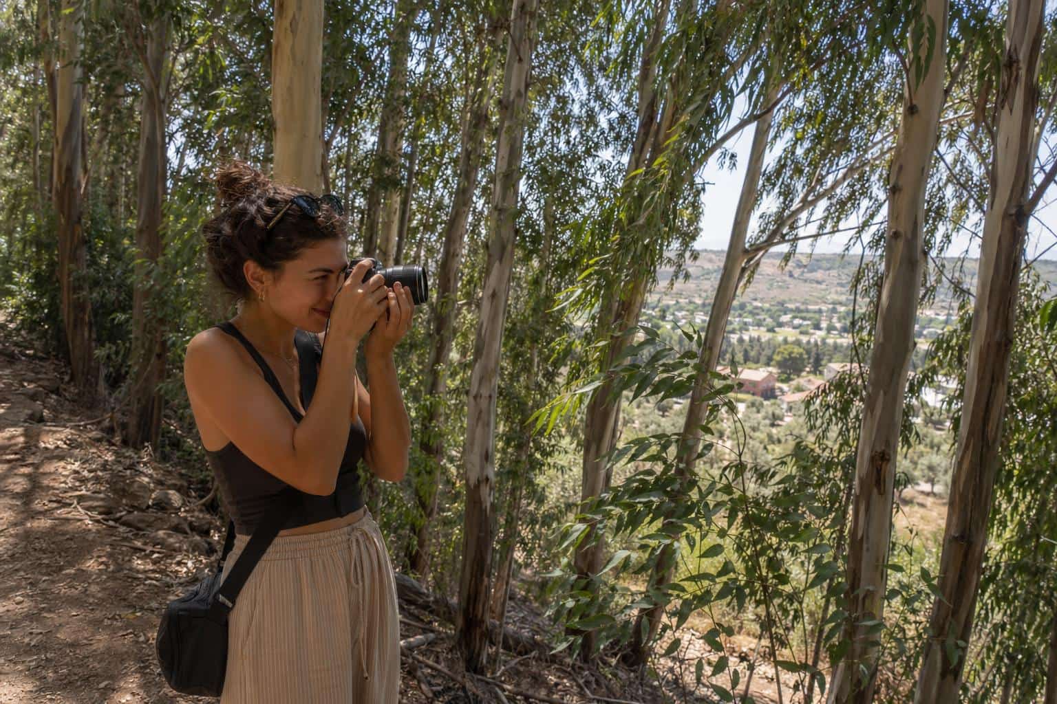 Nature scene in Merom Golan