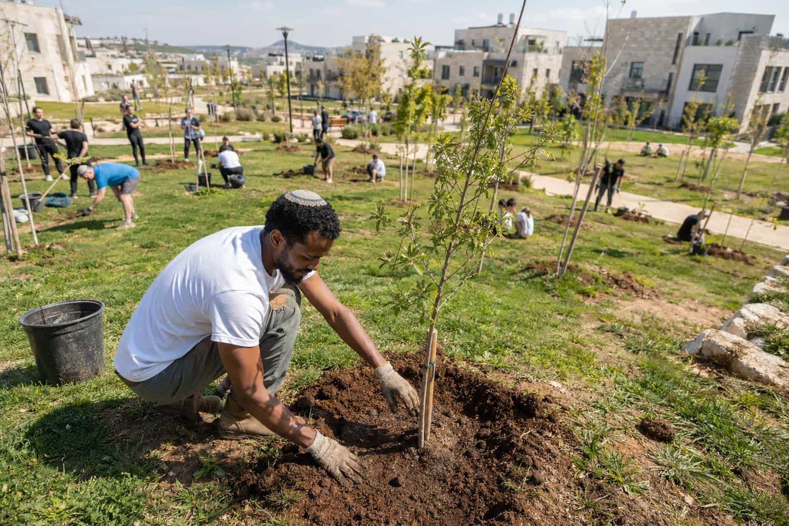 Community life and amenities in Maale Efraim