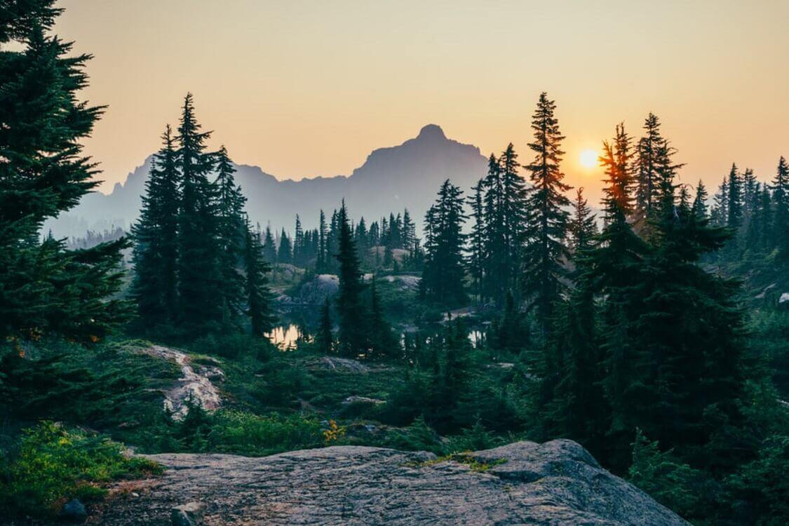 nature-the-key-to-better-physical-and-mental-health.jpeg nature-the-key-to-better-physical-and-mental-health.jpeg