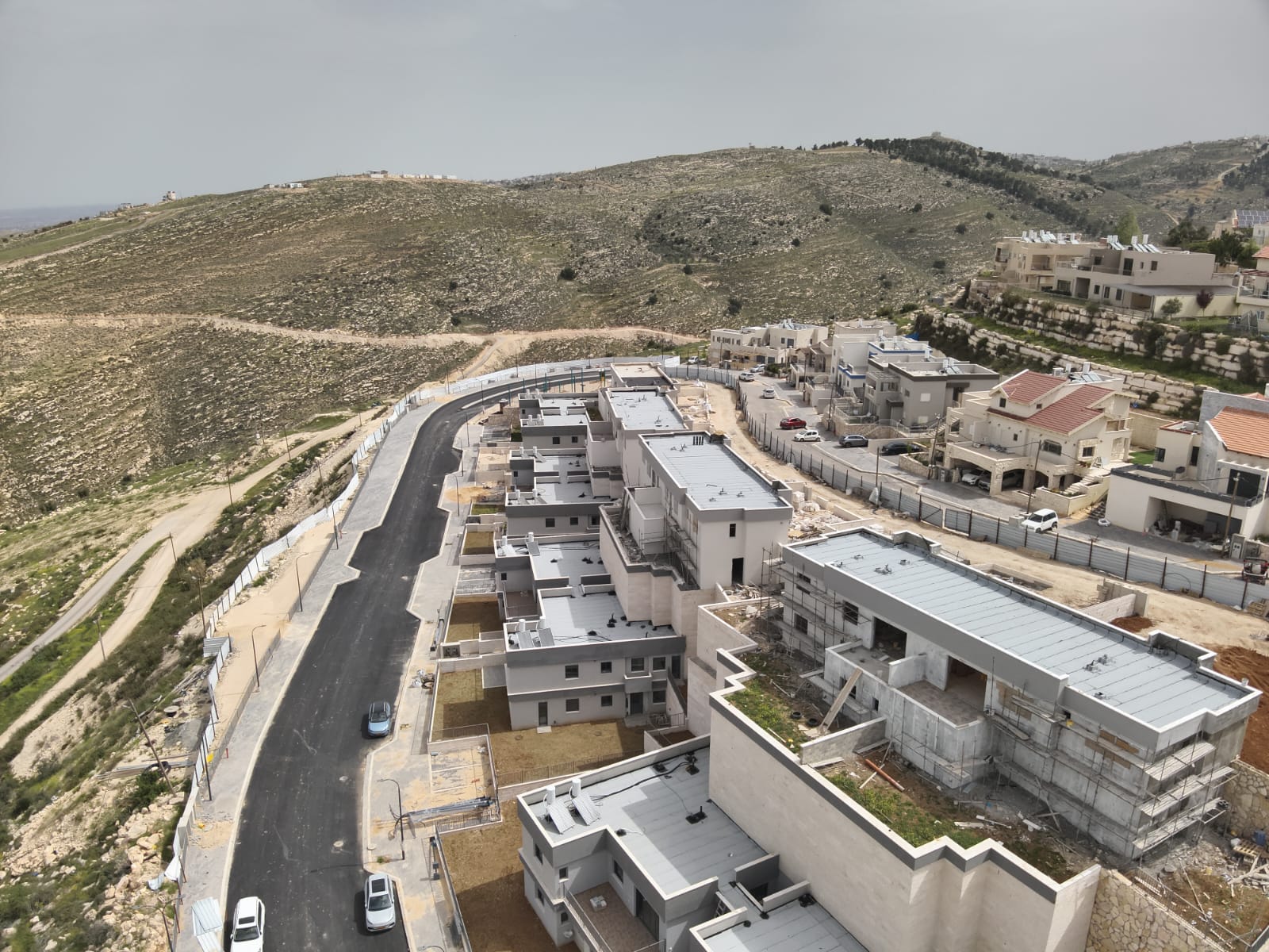 גלריה נגוהות