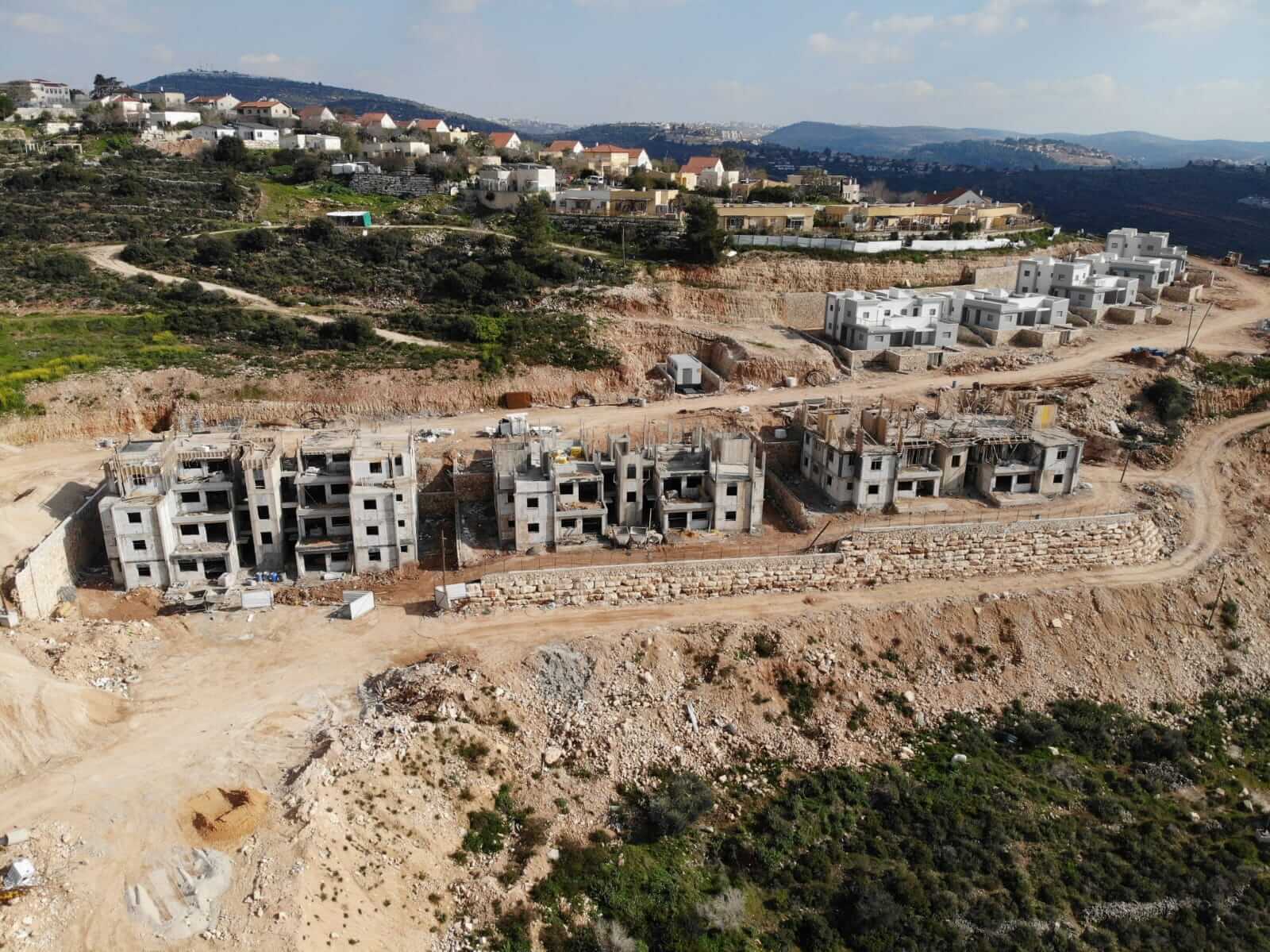 גלריה נריה